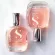 Alfaparf sublime water 50ml - hair and body perfume for all hair type หนึ่งเดียวสำหรับน้ำหอมที่ฉีดได้ทั้งผมและร่างกาย กลิ่นหอมมากๆ ออกแนวโฉบเฉี่ยว นุ่มลึก