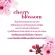 โอจีเอ็กซ์  เฮฟเว่นลี่ ไฮเดรตติ้ง เชอร์รี่ บลอสซัม คอนดิชันเนอร์ 385มล. OGX Cherry Blossoms Conditioner 385ml. OGX Cherry Blossoms Conditioner 385ml.
