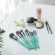 Perfect look 'Magic Mint Edition' Brushtoo