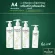 A4 set, Havilla, shampoo, hair loss, 300ml x3, free shampoo, hair loss 100ml, worth 490 baht