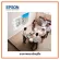 EPSON EB-982W 4,200 LM./ WXGA project, free delivery, tax invoice center