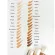 Divided for sale. Start 99 ฿ Reeflex Laura Mercier Flawless Lumiere Radiance Perfecting Foundation.
