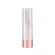 Catrice Lip Sugar Scrub And Balm 010