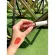 BEWILD VELVET MATTE Soft, tight color 02 Goddess Glam