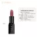 Stagenius, lipstick, matte, velvet, waterproof, moisturizing and long -lasting