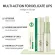 Lip Vaseline Lip Balm provides moisture, lipstick, cosmetics, lip balm, preventing cracking from natural plants, avocado.