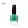CHADA ชาฎา สีทาเล็บ 15 มล. 006 เขียวนวล Kiew-Nuan