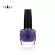 CHADA ชาฎา สีทาเล็บ 15 มล. 076 ดอกอัญชัน Dok-Un-Chan