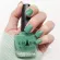 CHADA Nail Crying 15ml. 016 Green Nok Karak Kiew-Kee-Nok-Ka-R-Wake