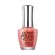 BANDI ULTRA POLISH UP106S