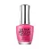 BANDI ULTRA POLISH UP115