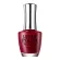 Bandi Ultra Polish Up509