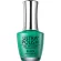 Bandi Ultra Polish Up703