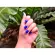 essence the gel nail polish 31 8ml