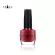 CHADA ชาฎา สีทาเล็บ เช็ต 15 มล. x 5 ชิ้น นางมัทนา