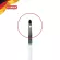 Titania, lip decoration brush