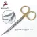 9.5cm Gold Handle Stainless Steel Scissors Strait PNED CUTED CURVED RGIC TURE SCISSSSERS DOUBLE EYELID Scissors
