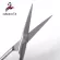 9.5cm Gold Handle Stainless Steel Scissors Strait PNED CUTED CURVED RGIC TURE SCISSSSERS DOUBLE EYELID Scissors