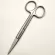 Hi Quity RGIC Stainless Steel Scissors Strait Tip Scissors Curved tip OPHTHMIC TURE SCISSSSSS TISE Scissors