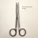 Hi Quity RGIC Stainless Steel Scissors Strait Tip Scissors Curved tip OPHTHMIC TURE SCISSSSSS TISE Scissors