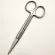 Hi Quity RGIC Stainless Steel Scissors Strait Tip Scissors Curved tip OPHTHMIC TURE SCISSSSSS TISE Scissors