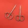 Dent OPHTHMIC REGERY SCISSSSSSSSSSER STEEL STEEL COSMETIC PLASTIC REGERY DOUBLE EYELID REGERY TOOLS