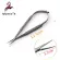 Stainless Steel RGIC Instruments 12.5CM BEND CURVED RGIC OPHTHMIC DEIVICE LOCNELLE HOLDER