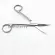 Dent OPHTHMIC REGERY SCISSSSSSSSSSER STEEL STEEL COSMETIC PLASTIC REGERY DOUBLE EYELID REGERY TOOLS