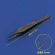 ED Scorpion Double Eyelid Rgery Tool Plastic Tweeezers Fine Stainless Steel Instrument Strait Ho