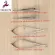 4PCS/SET OPHTHMIC RGIC Instruments 12.5cm Scissorsneedle Holders Tweeezers Stainless Steel Rgic Tool