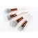 Essence Cheek Brush