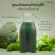 Giffarine กิฟฟารีน ไฟโต-ไฟเบอร์ Phyto-fiber ผลิตภัณฑ์เสริมอาหารใยอาหาร กลิ่นน้ำผึ้งผสมมะนาว ชนิดผง ลดน้ำหนัก กระตุ้นการขับถ่าย ท้องผูก 10 ซอง 40952