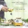 NARAH LUNG TEA ชาชงสูตรบำรุงปอด Promotion 2+1 ช่วยดีท็อกซ์ปอดและดูแลระบบหายใจ ลดเสมหะในลำคอ ช่วยแก้ไอ  2 ชิ้นราคาพิเศษ 585 บาท