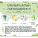 Chlorophyl Giffarine Chlorophyll Giffarine 1 sachet mixed with 15 liters of water.