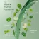 Chlorophyl Giffarine Chlorophyll Giffarine 1 sachet mixed with 15 liters of water.