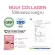 NUUI Collagen หนุย คอลลาเจน コラーゲン 1*10 10 กล่อง รวม 100 ซอง Collagen Tripeptide 10,000mg