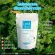 Can eat for 20 days for free !! IME Collag 1 sachet IME COLLAGEN CIME 100% authentic collagen collagen powder with collagen powder White skin collagen