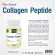 คอลลาเจน เดอะ เซนต์ คอลลาเจนญี่ปุ่น x 1 ขวด Collagen The Saint 30 แคปซูล คอลลาเจนจากญี่ปุ่น คอลลาเจนแท้