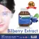 บิลเบอร์รี่ สกัด บำรุงสายตา x 3 ขวด โมริคามิ อาหารเสริมบำรุงสายตา Bilberry Morikami Laboratories