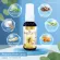 สินค้าโปรโมชั่น Real Elixir Propolis เซ็ท 8 แถม 4 Fresh Spray สเปรย์พ่นช่องปาก ขนาด 30 ml. มีกล่อง_ไม่มีก้านฉีด