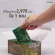 ดีท็อค คลอโรฟิลล์ พลัส กิฟฟารีน D-TOC CHLOROPHYLL PLUS GIFFARINE ดีท็อกซ์ลำไส้ ล้างสารพิษ ขับถ่าย ภูมิแพ้