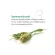 ดีท็อค คลอโรฟิลล์ พลัส กิฟฟารีน D-TOC CHLOROPHYLL PLUS GIFFARINE ดีท็อกซ์ลำไส้ ล้างสารพิษ ขับถ่าย ภูมิแพ้