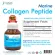 Marine Collagen Peptide มารีน คอลลาเจน เปปไทด์ x 1 ขวด morikami LABORATORIES โมริคามิ ลาบอราทอรีส์ คอลลาเจนญี่ปุ่น