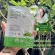 Proyou Pro Yu Mask Pro 5 sheets, beans mask, Placenta Sheetmask, Korean mask mask Providing sensitive skin moisture, can be used for Starbeauty