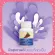 Grape C-E supplement 50 mg grape seed extract mixed vitamin C, E, beta carotene and selenium capsule, Giffarine