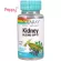 Solaray Kidney Blend SP-6 100 VegCaps ช่วยบำรุงไต 100 เวจจี้แคปซูล