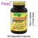 Solgar Boswellia Resin Extract 60 Vegetable Capsules กำยานอินเดีย