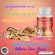 ฟลาโวกลูแคน Flavo Glucan ปรับสมดุลระบบภูมิคุ้มกันร่างกาย