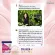 Narah Premium Collagen 150,000 mg Plus Vitamin C Premium formula imported from Japan to nourish the hair and add rings.