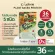 Charnn Plant Based Protein, 36 protein supplements, without cow's milk, soybean, cholesterol.